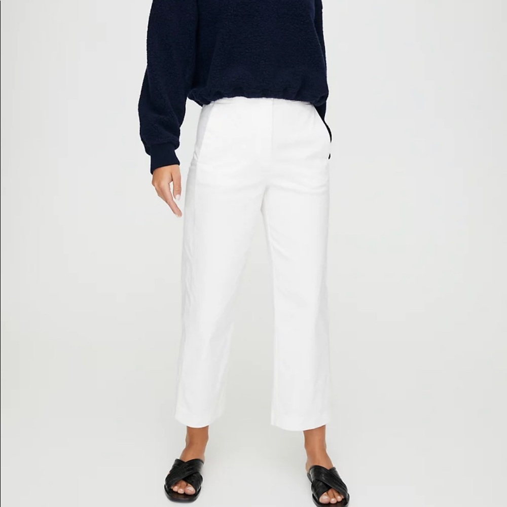 Aritzia The Group by Babaton Walsh Pants